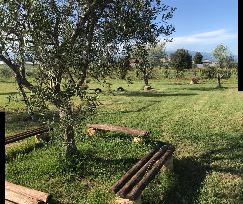 Agriturismo Il Borghetto Villa Foce del Sele Exterior photo